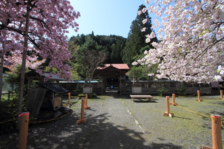 e0051888_17312440.jpg