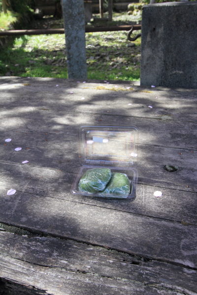 e0051888_17325780.jpg