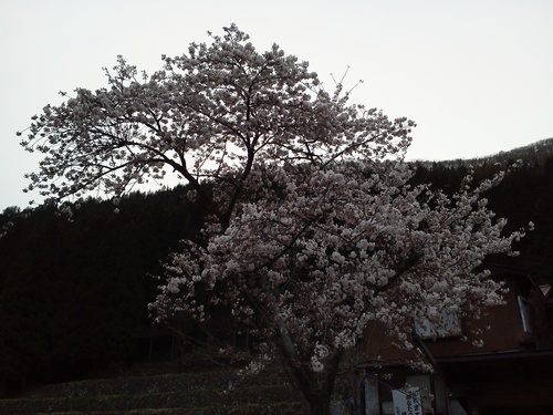 e0015490_22943100.jpg