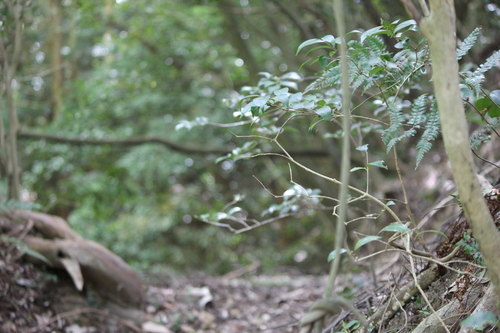 a0234491_11132437.jpg