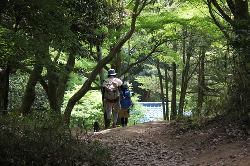 a0234491_11413880.jpg