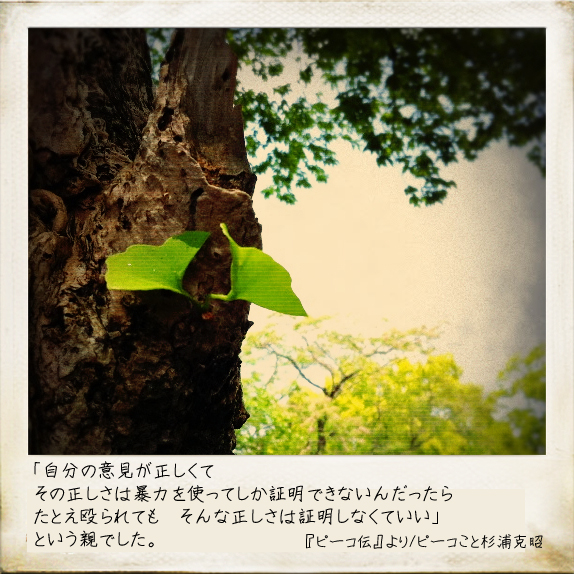 c0184491_12362493.jpg