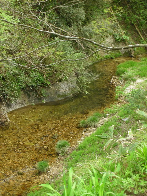 b0147093_22123496.jpg