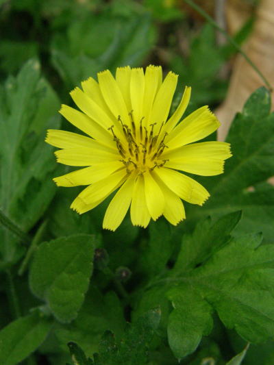 e0017396_22152632.jpg