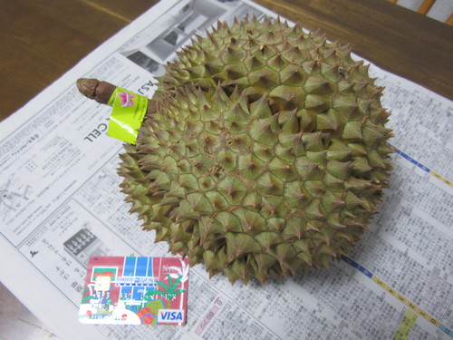 f0013998_217826.jpg
