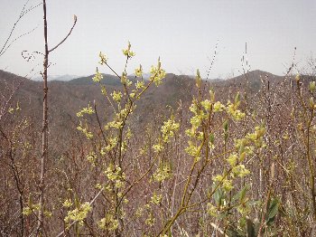 e0122199_22215551.jpg
