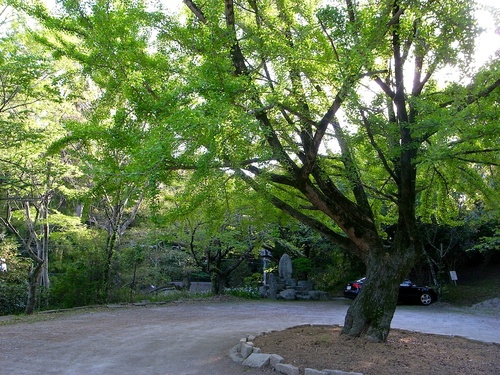 f0108399_0131148.jpg