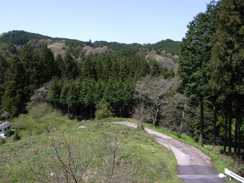 f0108399_0435533.jpg