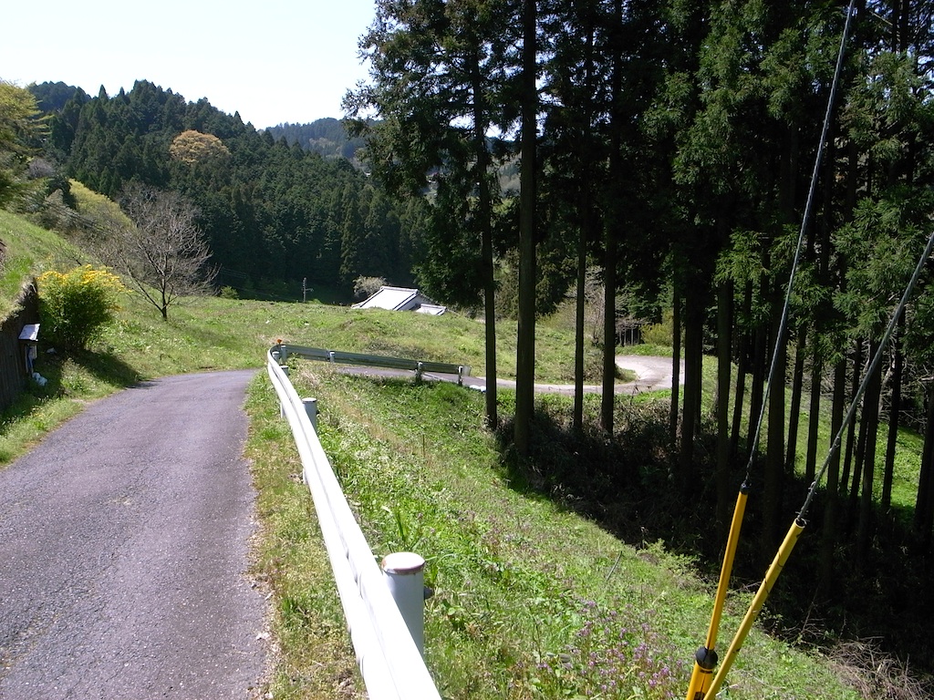 f0108399_09577.jpg
