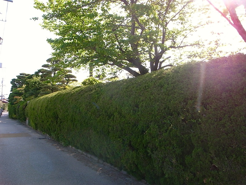 f0108399_095965.jpg