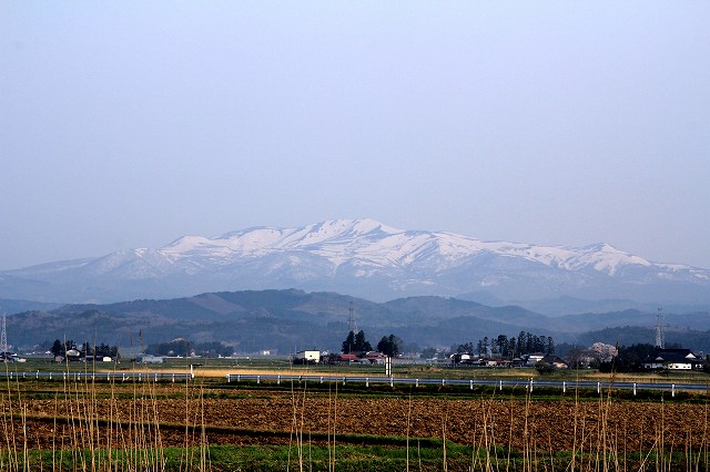 e0137200_21464417.jpg