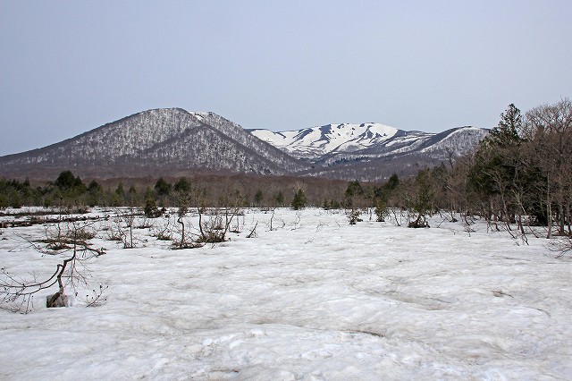 e0137200_21483540.jpg