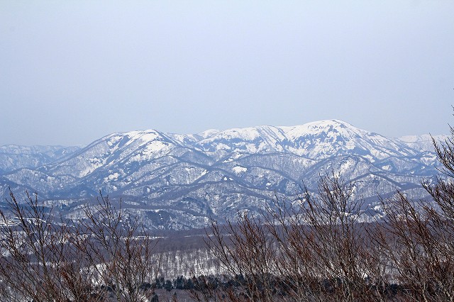 e0137200_21494143.jpg