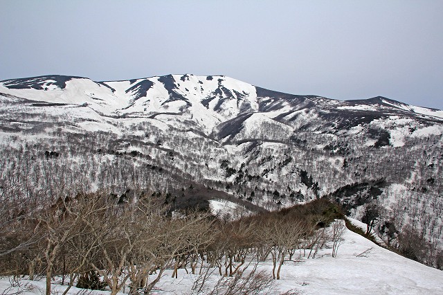 e0137200_2153043.jpg