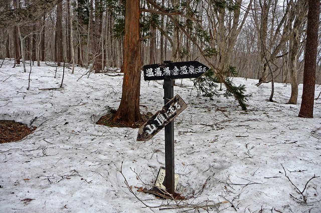 e0137200_21572797.jpg