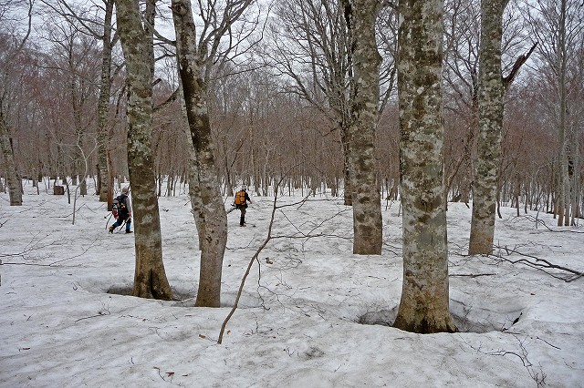 e0137200_2157691.jpg