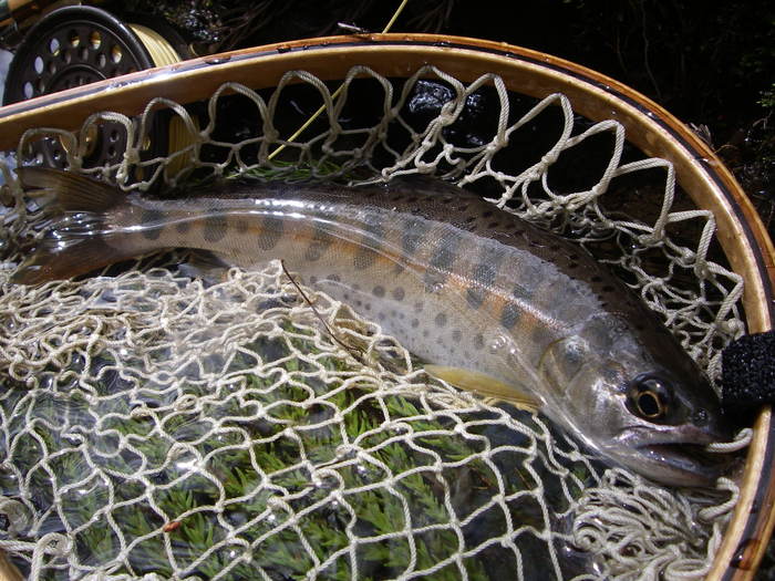 c0180802_22144855.jpg