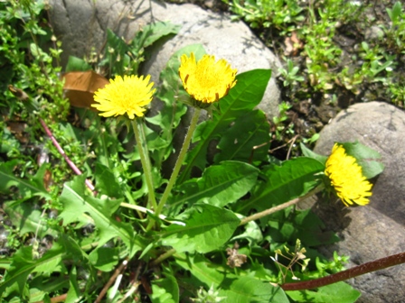 b0155803_2324439.jpg