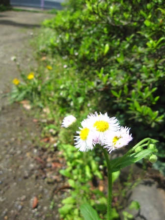 b0155803_2324846.jpg