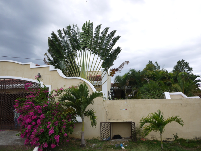 b0208803_855623.jpg