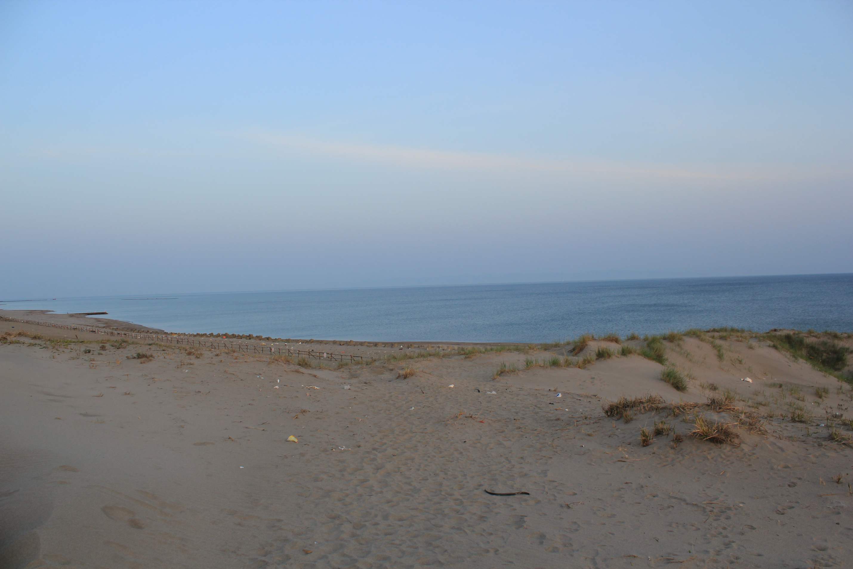 a0264604_7334625.jpg