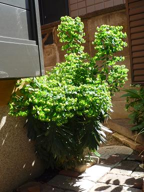 e0234004_23132267.jpg