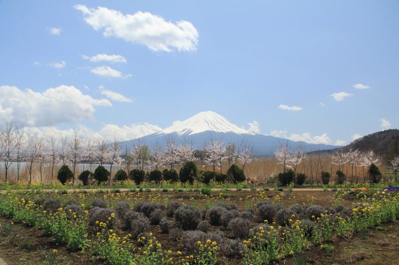 a0188405_21214435.jpg