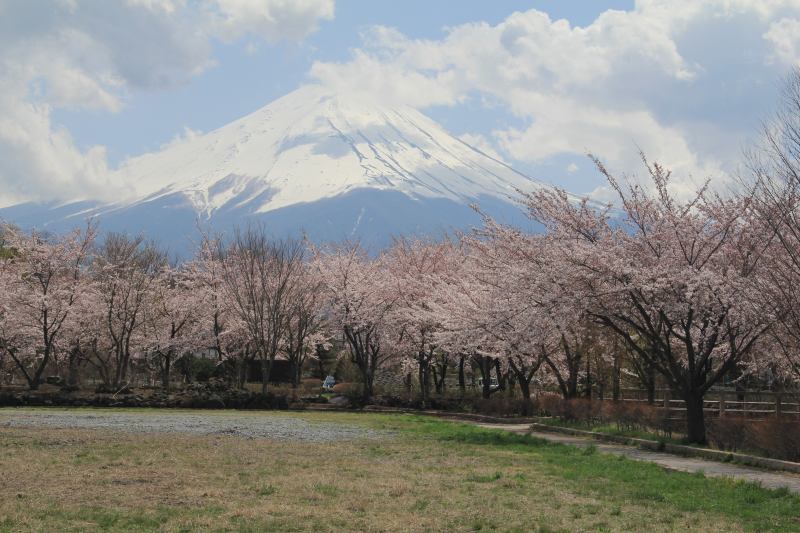 a0188405_21232150.jpg