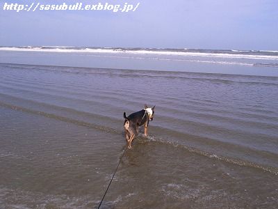 e0145805_1942121.jpg
