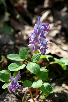 f0041606_14302621.jpg