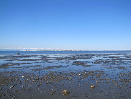 b0051109_8275417.jpg