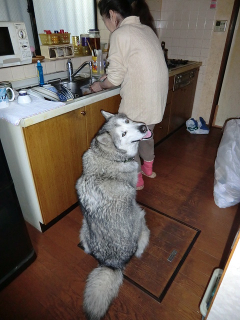 e0247410_1582163.jpg