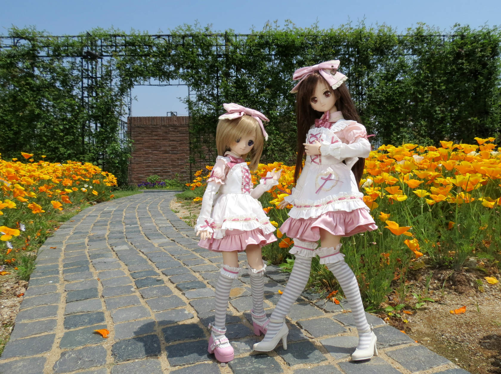 f0217711_23585635.jpg