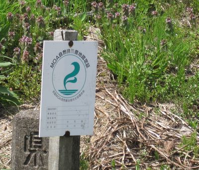 c0094218_21122613.jpg