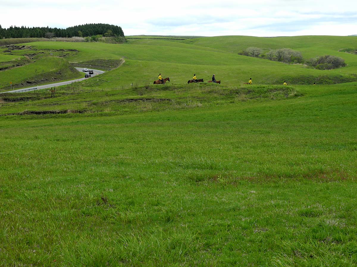 d0032222_2049443.jpg