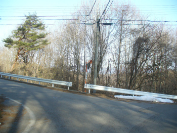 f0188324_750937.jpg