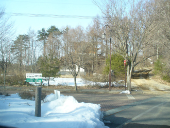f0188324_753832.jpg