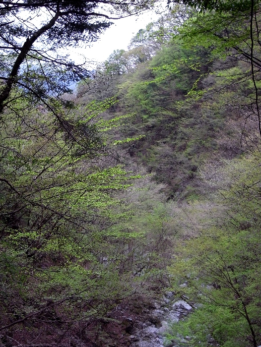 f0103126_22483255.jpg