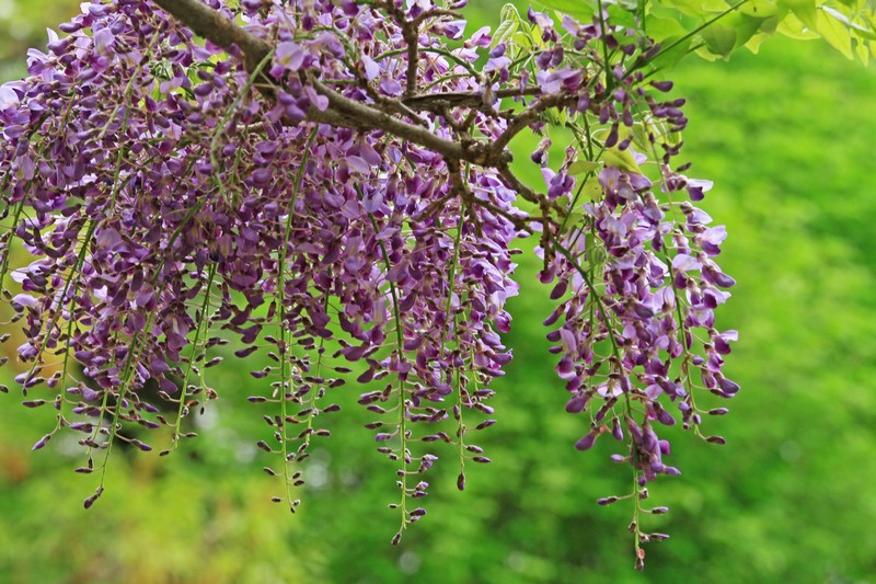 c0104227_8211992.jpg