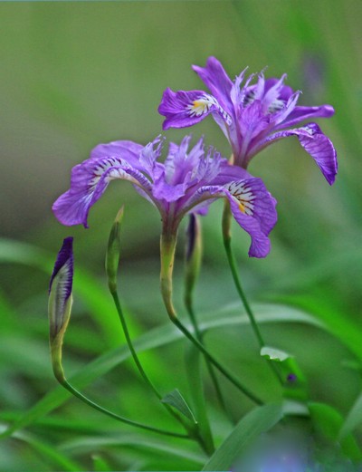 c0104227_841240.jpg