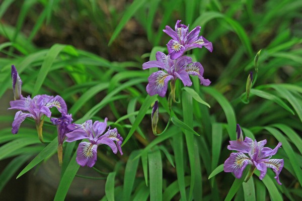c0104227_842674.jpg