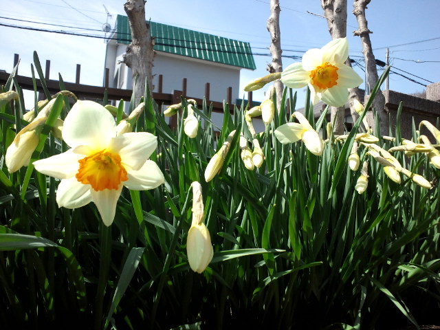 c0117239_863738.jpg