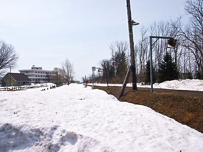 e0022839_3583640.jpg