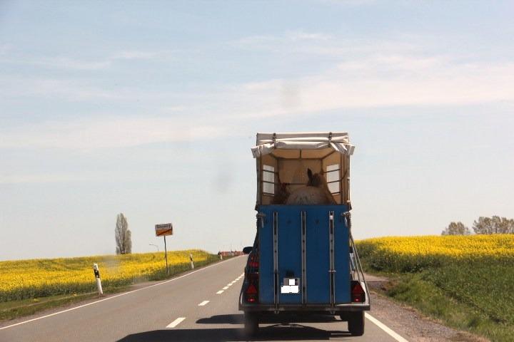 c0153740_134723.jpg