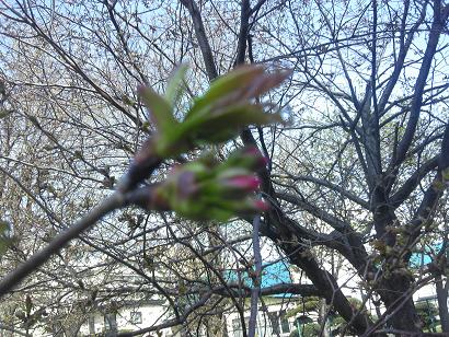c0227640_5511489.jpg