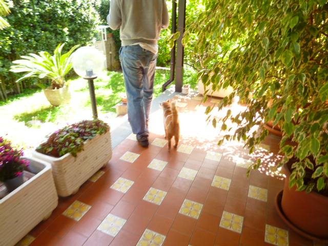 d0170140_0213189.jpg