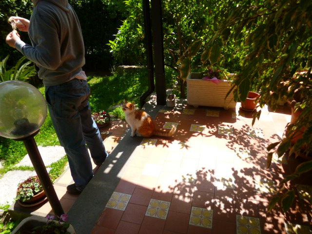 d0170140_0232842.jpg