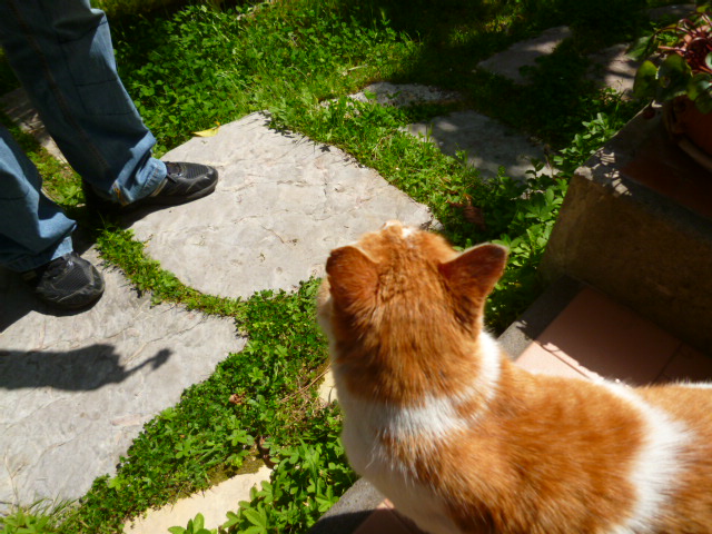 d0170140_03139.jpg