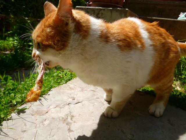 d0170140_032810.jpg