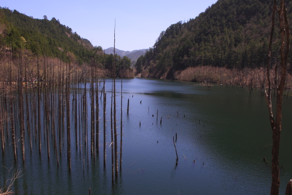 d0247340_16323534.jpg